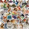 100PCS Cute Animal Stickers, Realistic Animals Aesthetic Decals Vinyl Waterproof Zoo Animals Stickers